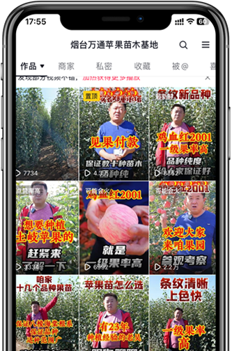 煙臺(tái)萬(wàn)通苗木